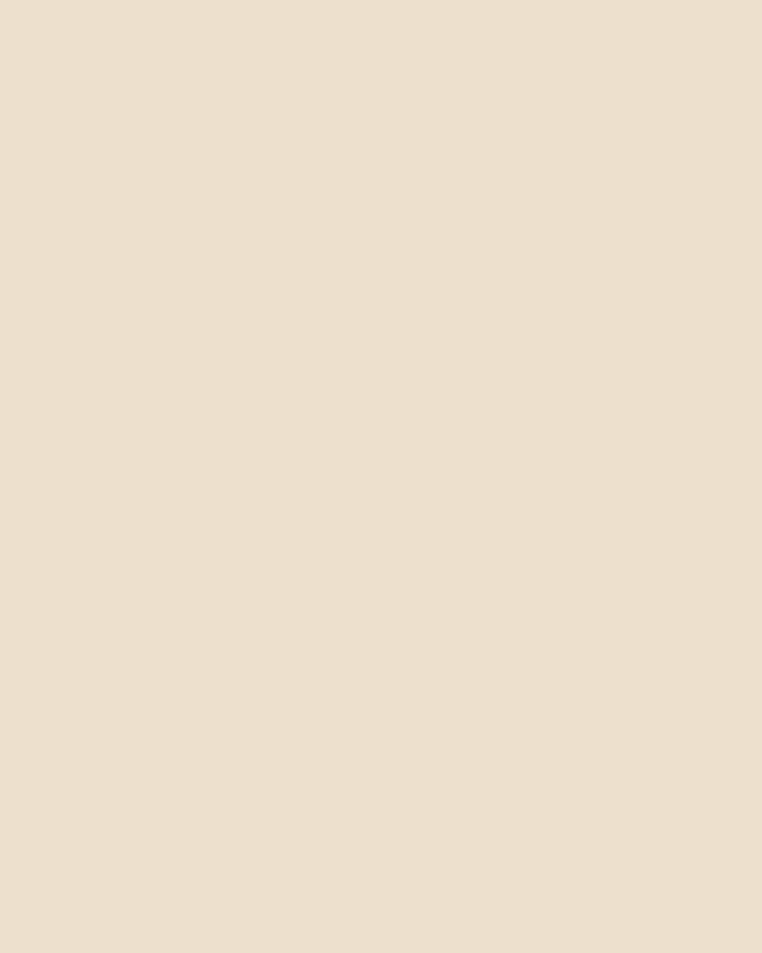 141684691_220596393107347_8757719982517792898_n